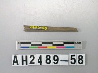 藏品(磨製石針)的圖片